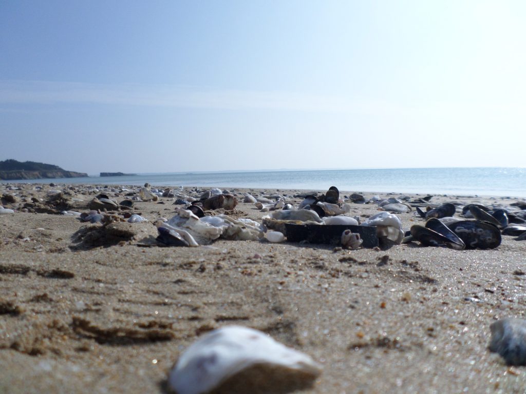 hotel camoel penestin morbihan plage